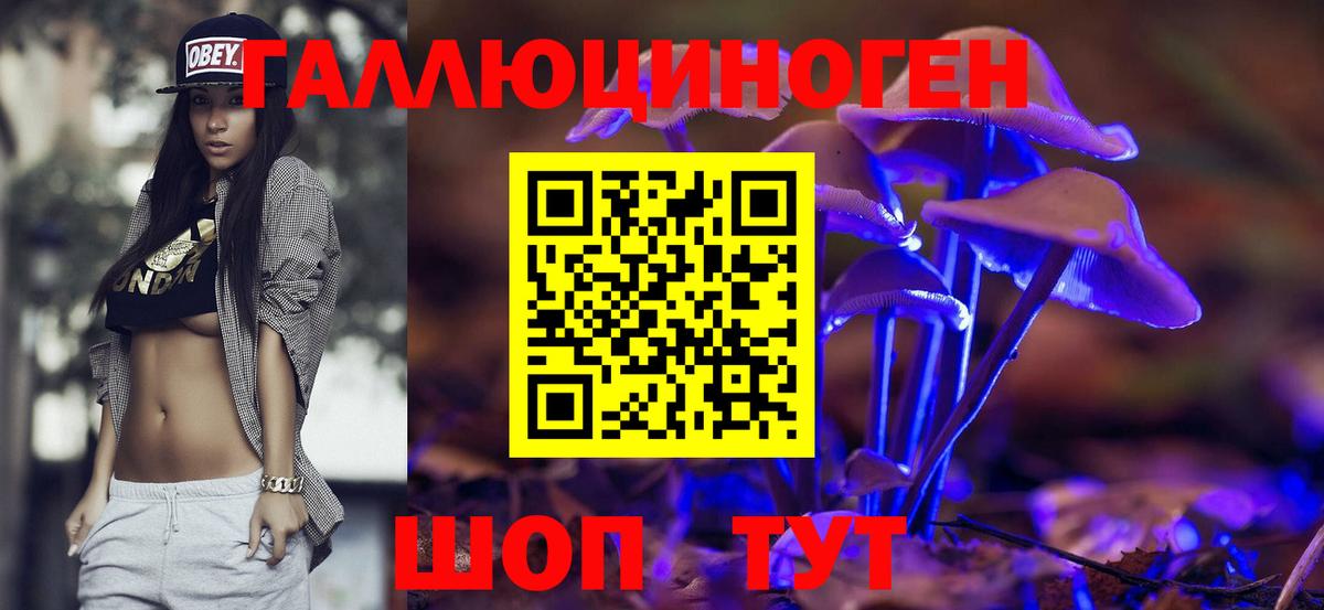 Галлюциногенные грибы Psilocybe Благодарный