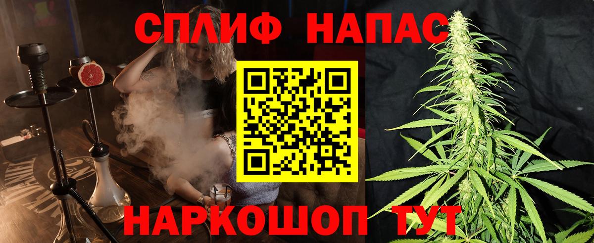 Конопля OG Kush Благодарный