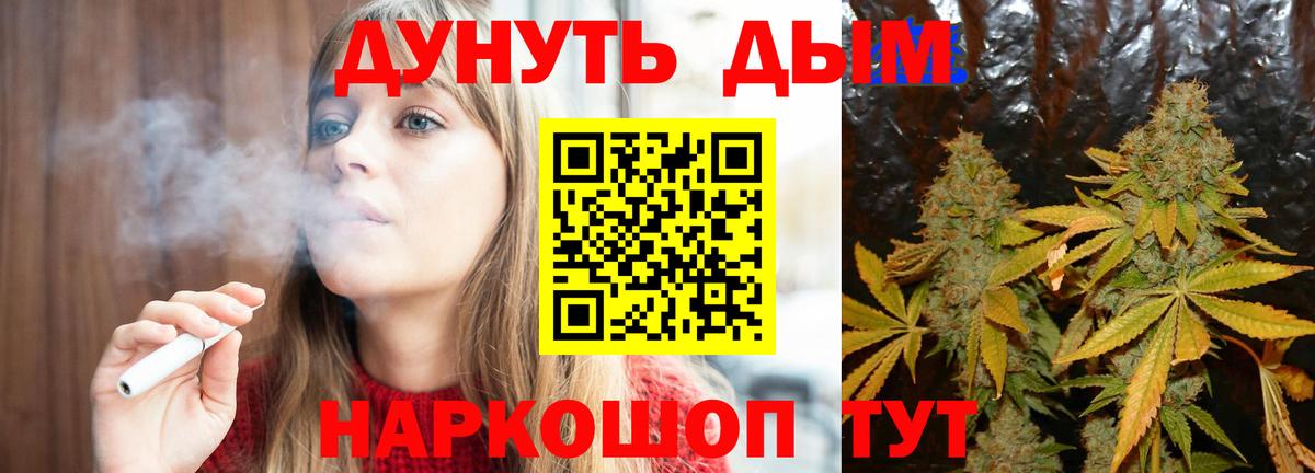 Конопля сатива  Вход с VPN  Марихуана ГИДРОПОН  Благодарный  Бошки Шишки планчик 